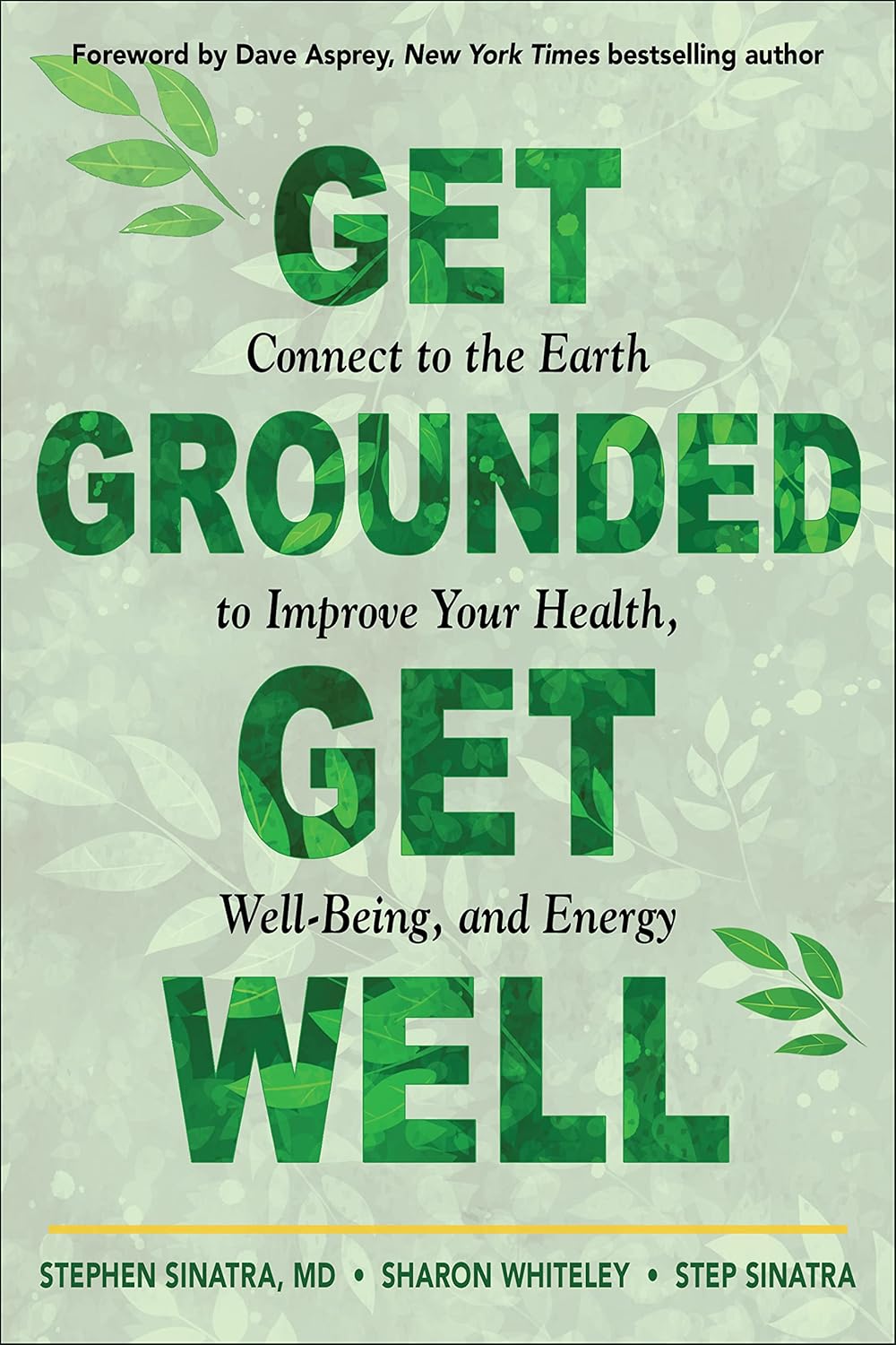Get Grounded, Get Well cover