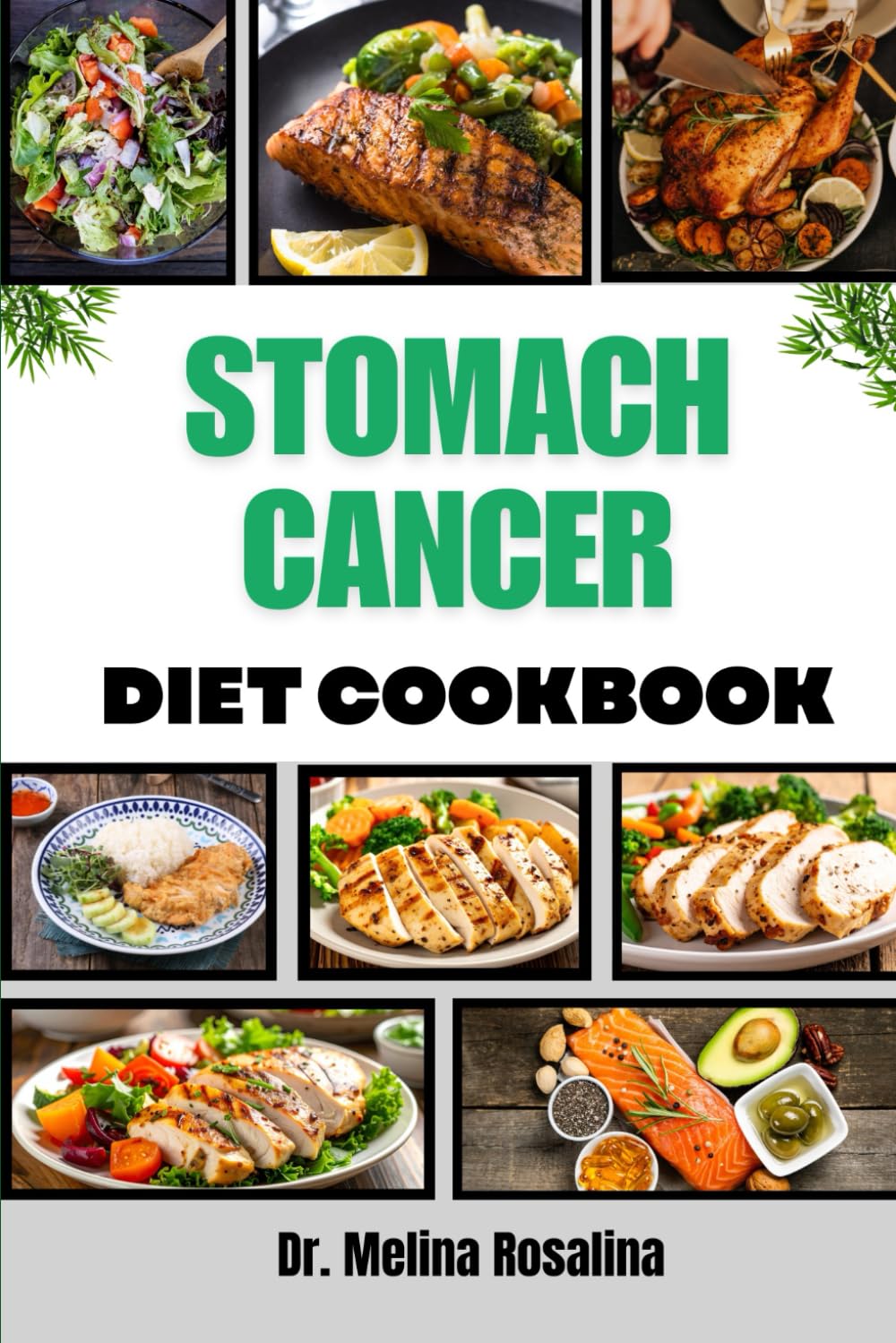 Stomach Cancer Diet Cookbook cover